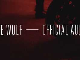 Image Clip Mumford & Sons